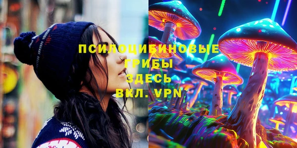 меф Богородицк