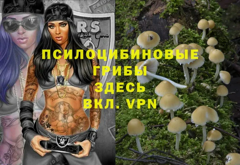 Галлюциногенные грибы MAGIC MUSHROOMS  Буйнакск 