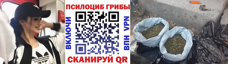 Псилоцибиновые грибы Magic Shrooms  Буйнакск 