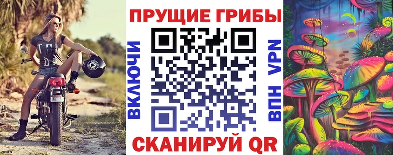 Псилоцибиновые грибы GOLDEN TEACHER Буйнакск