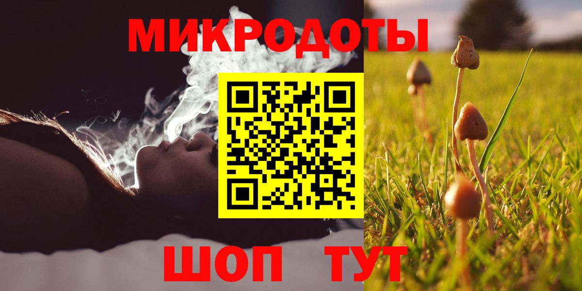Псилоцибиновые грибы Psilocybine cubensis Буйнакск